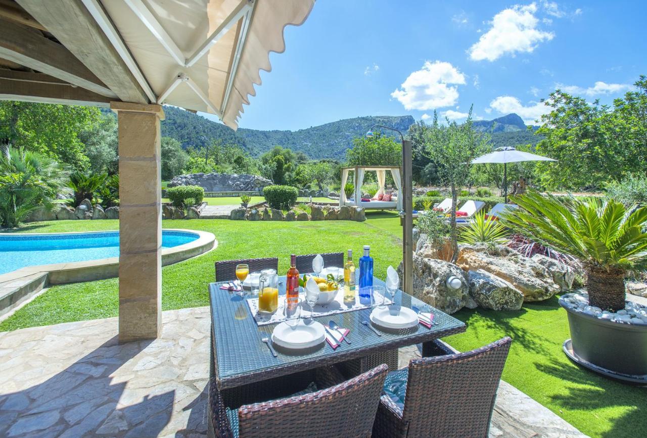 Owl Demana - Retreat In The Midst Of Nature * Pollença